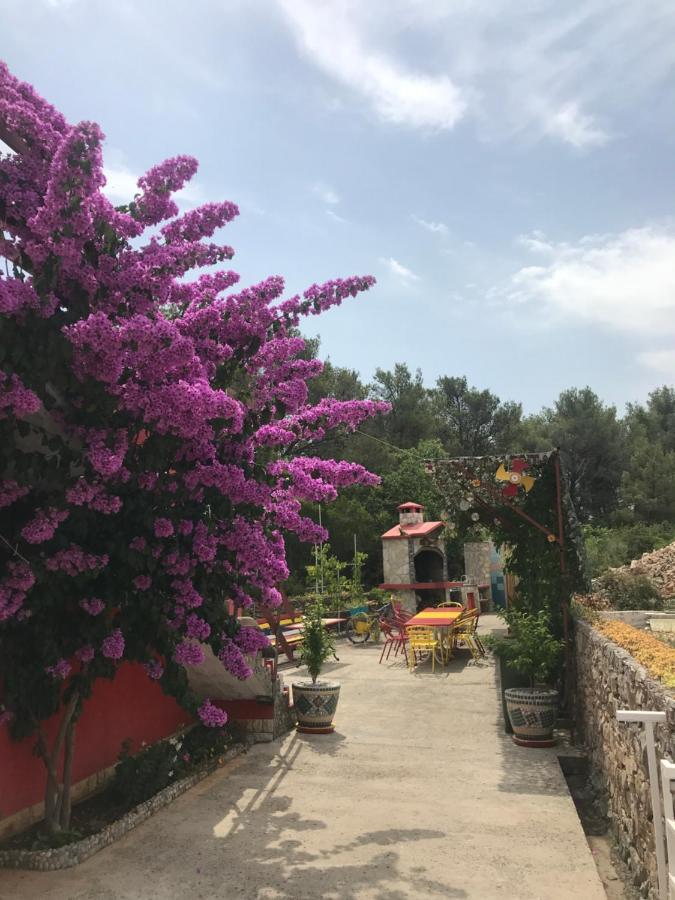 Lipovac Resort Ficus Bilice Εξωτερικό φωτογραφία